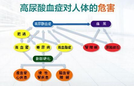 t01a880e5042c442f61.jpg