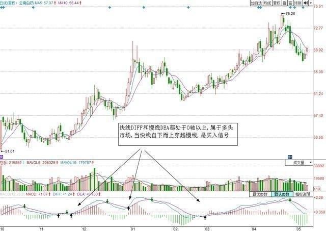 一位股市天才首次揭秘：价值千万的MACD战法，背熟天天涨停板！