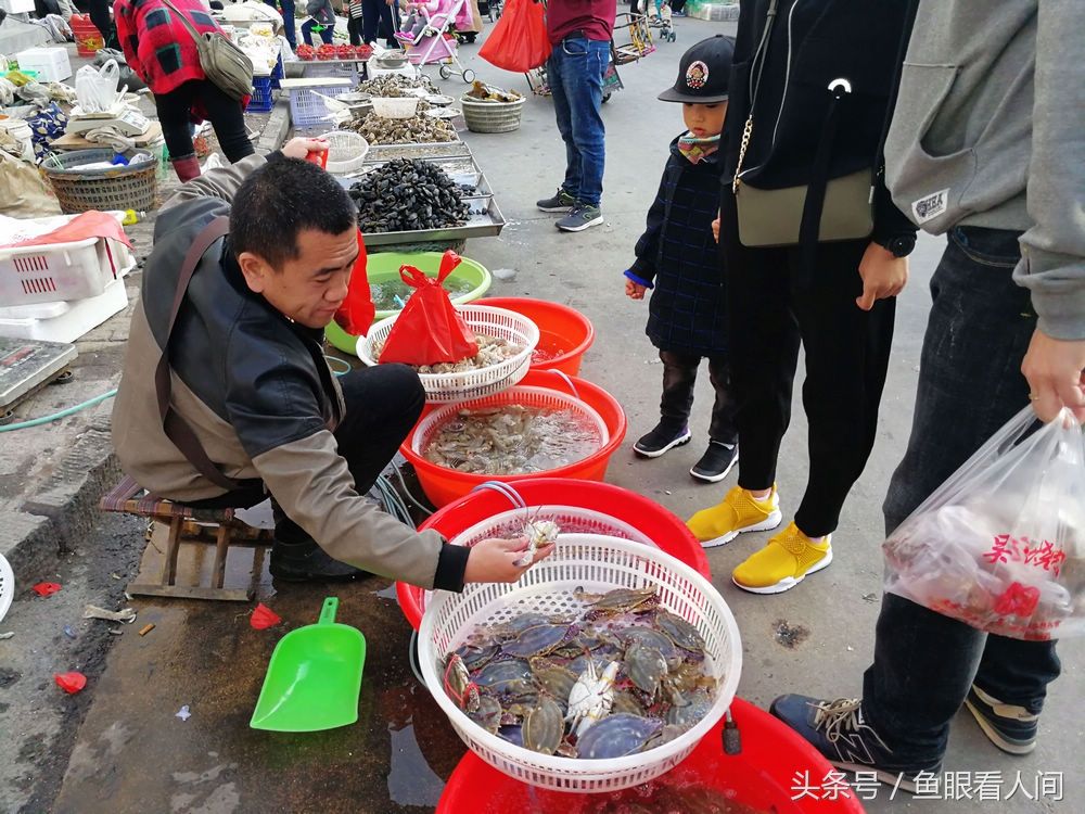 平民梭子蟹现海鲜市场 20-40块钱一斤 市民购买热情高涨 有鲜先尝