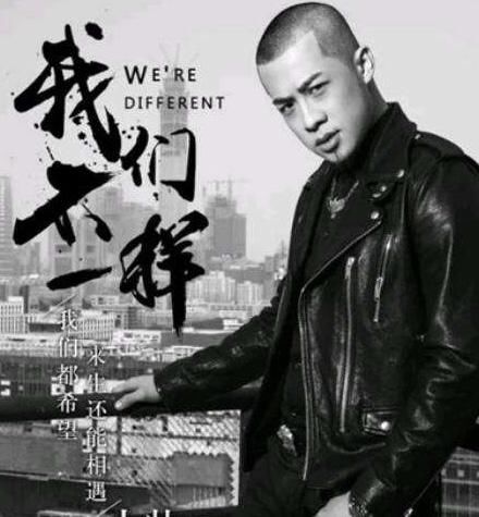 大壮的歌曲:我们不一样
