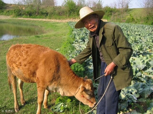 农村老话，“三九南风吹，来年雪花飞”，明年地里收成不好？