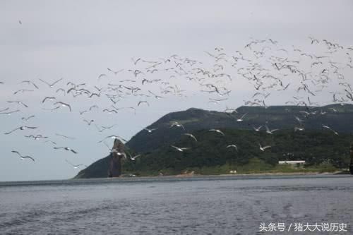 日俄矛盾再次升级?谈判崩裂，安倍强调将用武力夺回北方四岛!