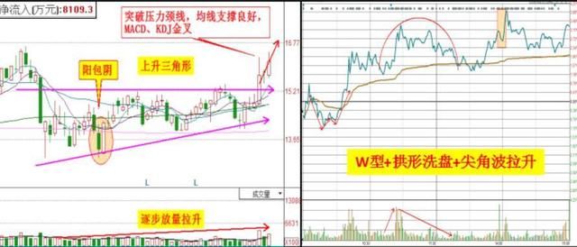 快递又一新龙头横空出世，利润暴增260倍，或将碾压顺丰控股成妖