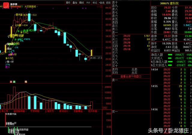 佛山做T掩护猪肉荣8200万出逃，上市第二天惨跌停赵老哥700万抄底