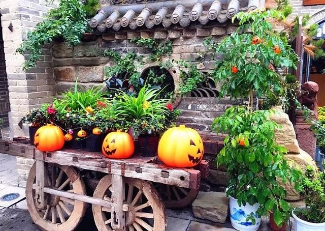 不负春光！陕西这座慢悠的古城，私藏了最美的诗意！