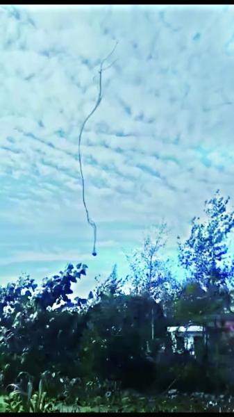 龙在飞简谱_儿歌简谱