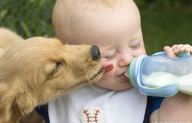 某进口知名品牌奶粉真的出问题了吗? 欧洲人给