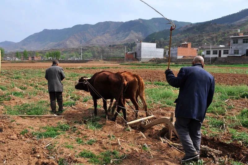 黄奇帆:中国最终应该有房地产税法、住房法和百姓租赁房之法