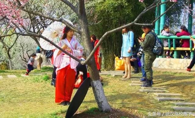 武汉30个春游免费景点大集合!踏青、骑行、拍照来这里就对了!