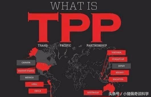 假若美国总统现任是希拉里，美国会怎样？