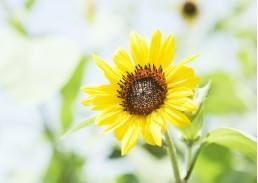 2020年考研科目考什么