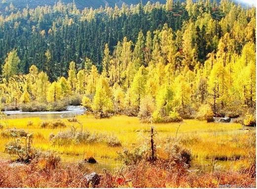 五月最值得去的地方 一个冷门却很美的景点