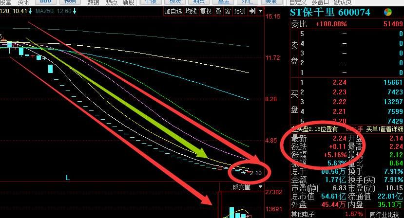 狗年A股超跌反弹!李大霄:明日六元布局抄底!股民:跟了!