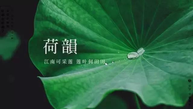 论绘制设计,中文字体排版设计是厉害的天正轴网排版教程上开图片