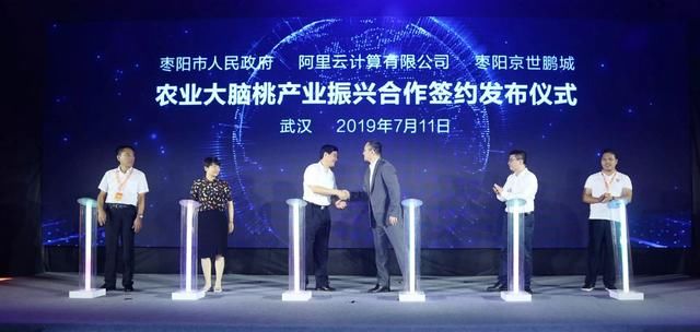 AI种黄桃AI卖黄桃 阿里巴巴推进一站式政务服务 玛雅视讯手机版