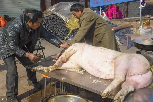 过去春节杀猪，食物匮乏才吃的部位，如今受人们追捧，您吃过吗？