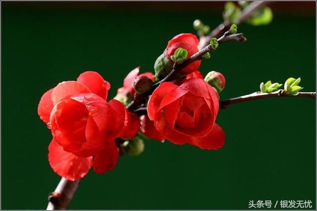 人:一撇一捺就两笔,洋洋洒洒写一生!