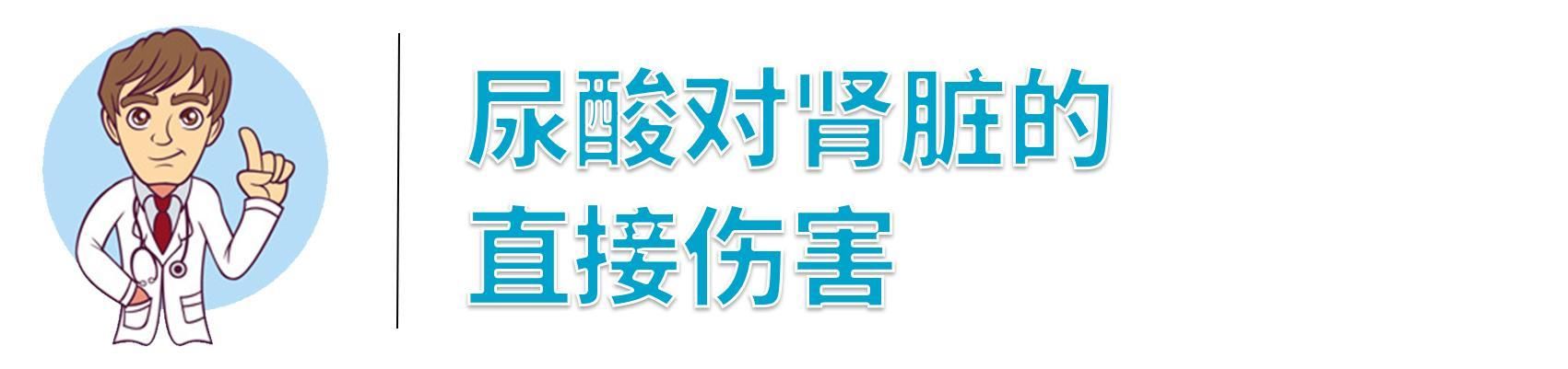 被人忽视的痛风症状:高尿酸竟能引起肾衰竭?