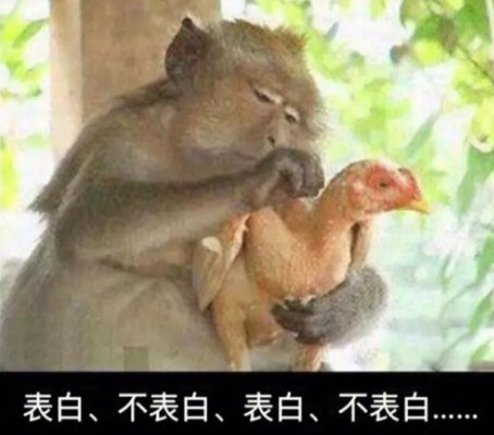 猴子：好险！差一步我就进化成人了