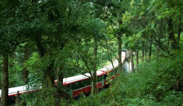 2019年共多少起地震