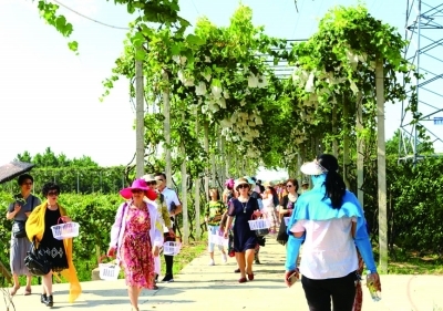 黄陂老来乐公寓老人欢乐多