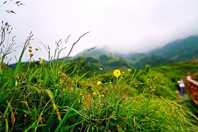 航拍融水苗寨梯田,今朝培秀酒香茶浓人更美!