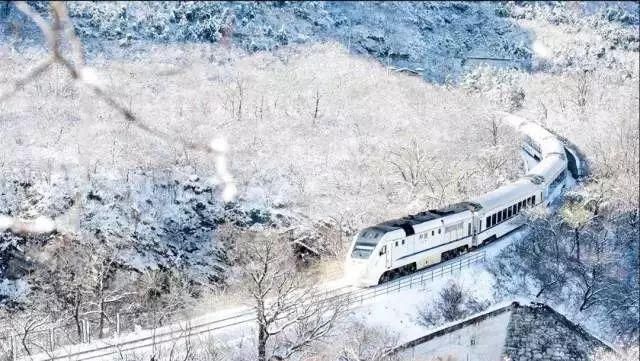 别去日本了！北京这趟6元小火车，带你穿越绝美樱花！沿途风景惊