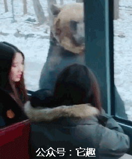 搞笑gif:到处都是恋爱的酸臭,只有我散发着单身狗的清香!