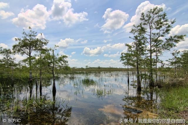 2018最新上海景区大全，含收费及免费景点，收藏了慢慢玩吧!