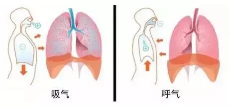 教你一套不用花钱的，自我体检法！