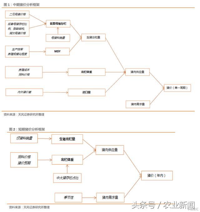 2018猪价怎么看？