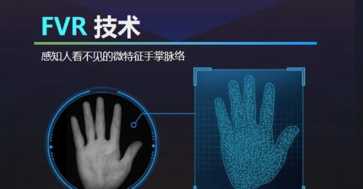 刷脸支付前几名