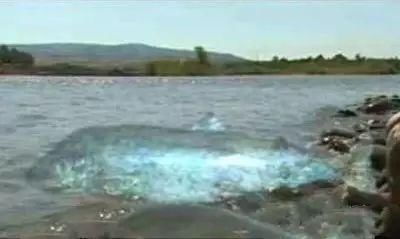 长白山“天池水怪”真相