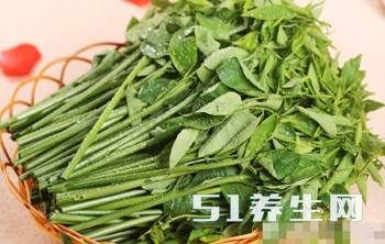 南方一种稀奇的树,果叶有毒,如今成了高级蔬菜