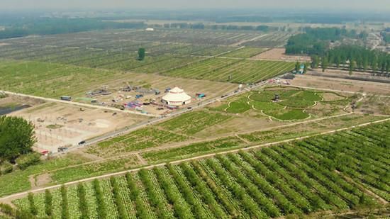 聊城的这个村子是真的美,周末休闲何必舍近求远!