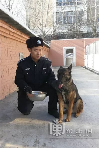 警犬如何过狗年?探秘警犬侦查训练基地，“不寻常的”汪星人给您