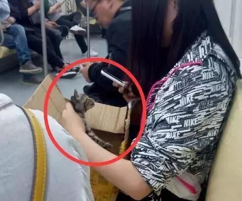 上海人，为什么不喜欢地铁安检，终于有人说出了真相……