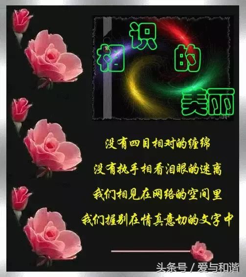 t01ad2b383c6d04fc49.jpg