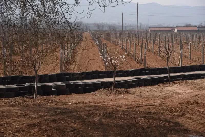 尧京，不仅仅是酒庄，还有春日的乡愁