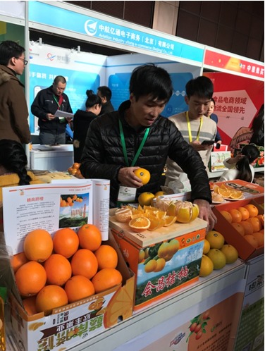 江西会昌:脐橙电商创业正当时 带动贫困户增创