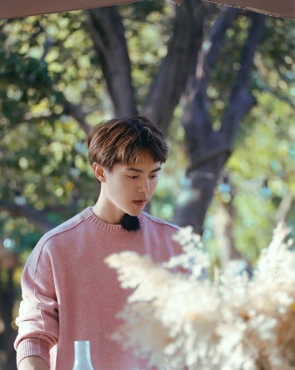 张翰马天宇收视率