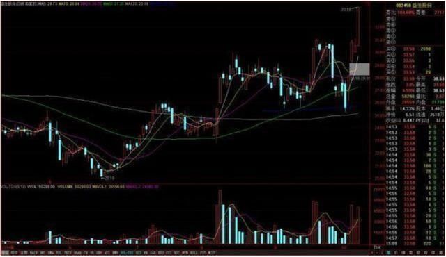 一眼看穿庄家洗盘背后阴谋,学会跟庄操作(附源