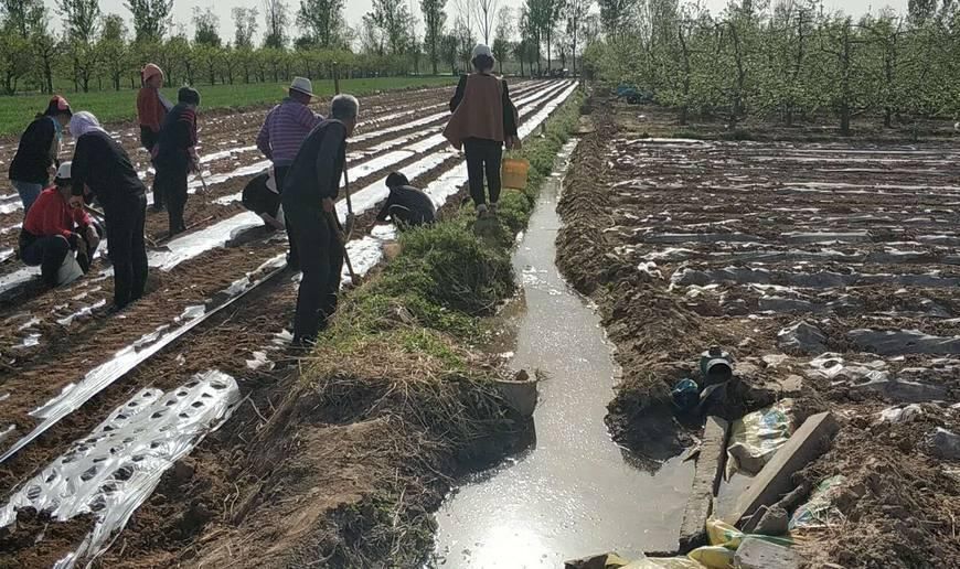 取消农业户口后,非农户口的承包地将收回?这些