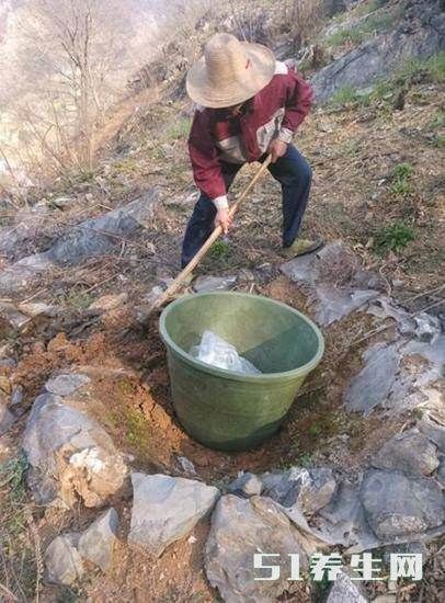 农村人把桶埋在土里，城里人看到至今不明白原因