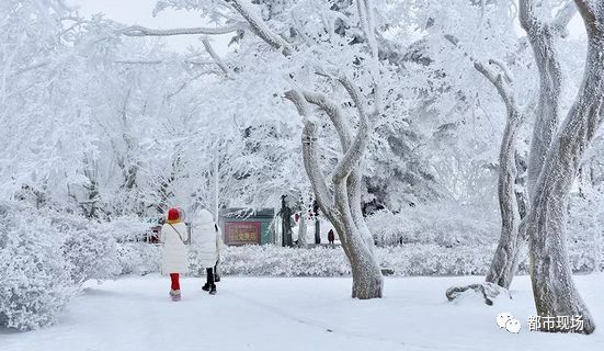 刚刚江西突然下雪，明晨上班非常冷!还有2个悲从中来的消息