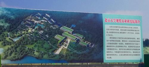 北京大学现代农业研究院在潍坊峡山开工建设