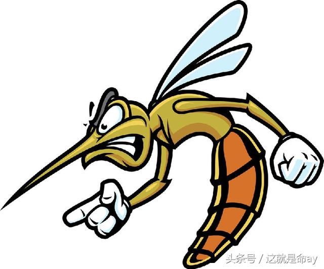 谁是对人类危害最大的动物?_【快资讯】