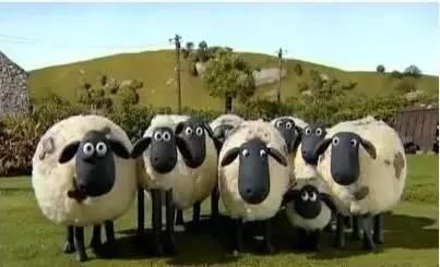 遍地牛羊的新西兰凭什么是发达国家,看完这个