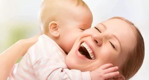 护照办理流程和费用