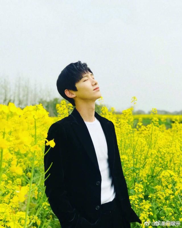 白敬亭向粉丝科普油菜花的价值,真是一个合格